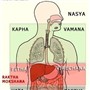SuprajaAyurveda and Yoga 
